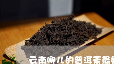 云南哪儿的普洱茶最好的价格/2023052879694