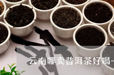 云南哪卖普洱茶好喝一点/2023102591715