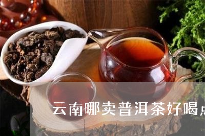 云南哪卖普洱茶好喝点/2023101728349