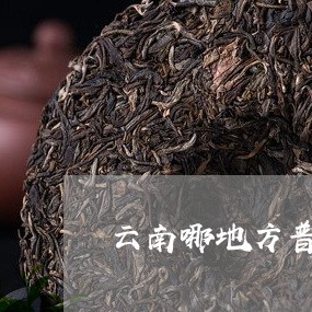 云南哪地方普洱茶最好饮/2023120748470