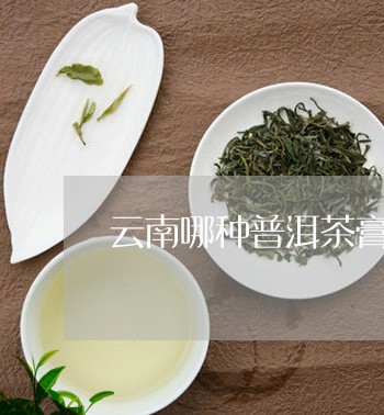 云南哪种普洱茶膏好用又好喝/2023082821951