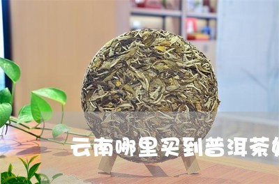 云南哪里买到普洱茶好/2023110368501