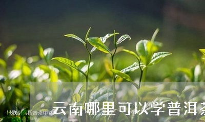 云南哪里可以学普洱茶/2023100686248