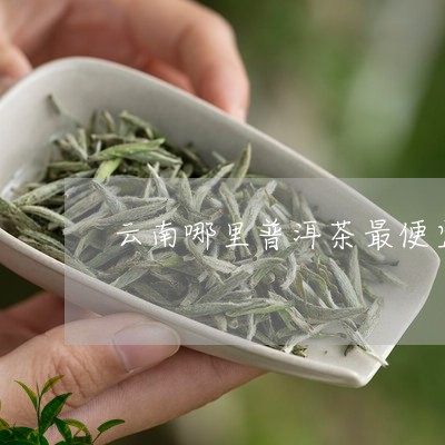 云南哪里普洱茶最便宜/2023100878379