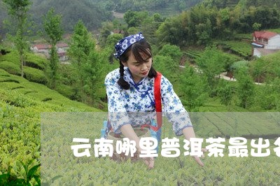 云南哪里普洱茶最出名/2023100863838