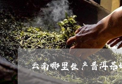 云南哪里生产普洱茶好喝/2023112881582