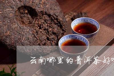 云南哪里的普洱茶好喝又便宜/2023052925030