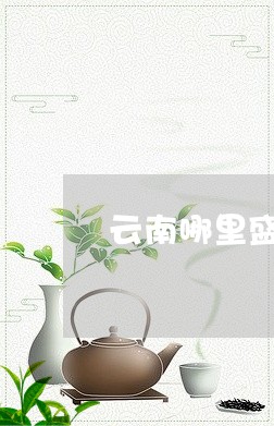 云南哪里盛产普洱茶饼的/2023082417168