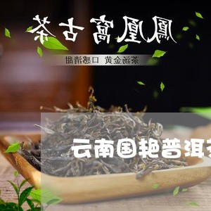 云南国艳普洱茶068/2023100528360