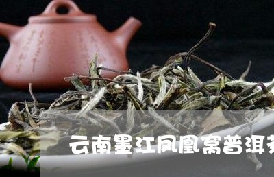 云南墨江凤凰窝普洱茶的特点/2023052895179