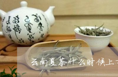 云南夏茶什么时候上市/2023071687268