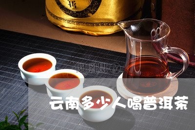 云南多少人喝普洱茶/2023061823038