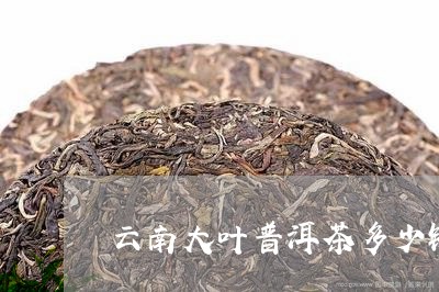 云南大叶普洱茶多少钱/2023072272717