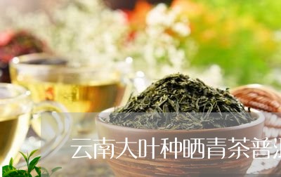 云南大叶种晒青茶普洱茶熟茶价格/2023110385037