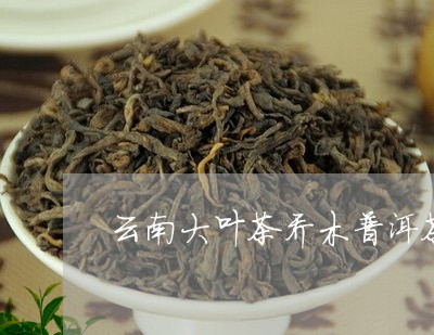 云南大叶茶乔木普洱茶/2023100719373