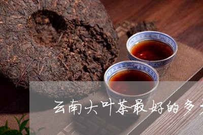 云南大叶茶最好的多少钱一斤/2023052687271