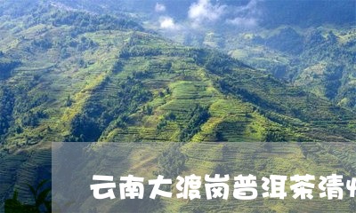 云南大渡岗普洱茶清怡/2023072232725