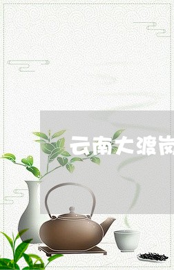 云南大渡岗普洱茶清怡/2023092739694