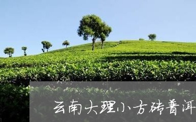 云南大理小方砖普洱茶/2023120631637