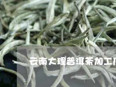 云南大理普洱茶加工厂/2023062433736