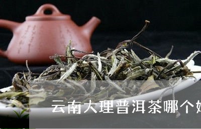 云南大理普洱茶哪个好/2023100708369