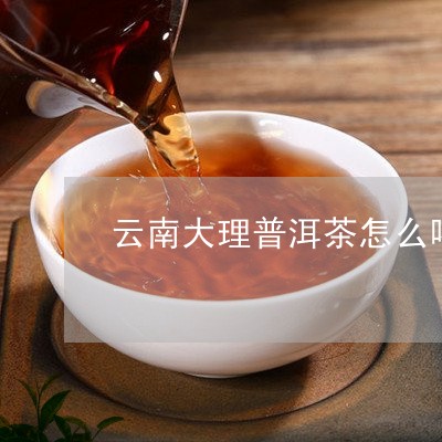 云南大理普洱茶怎么喝/2023080339360