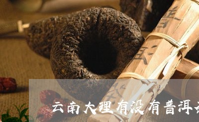 云南大理有没有普洱茶/2023080174958