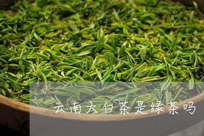 云南大白茶是绿茶吗/2023121639573