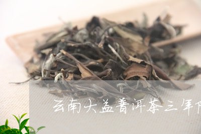 云南大益普洱茶三年陈/2023092618262