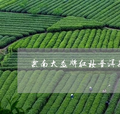 云南大益牌红妆普洱茶/2023072493864