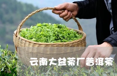 云南大益茶厂普洱茶/2023112419583