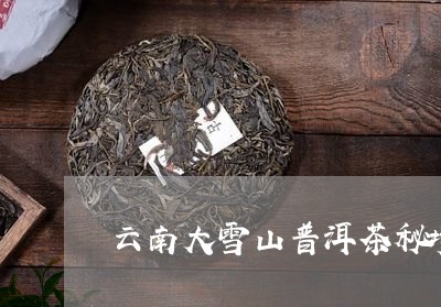 云南大雪山普洱茶秘境/2023120666392