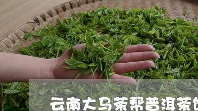 云南大马茶帮普洱茶饼/2023080260585