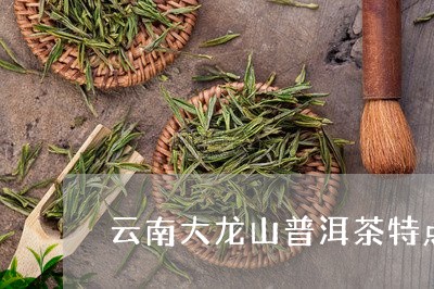 云南大龙山普洱茶特点/2023100793268