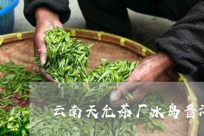 云南天允茶厂冰岛普洱茶价格/2023110514815