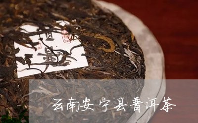 云南安宁县普洱茶/2023120487168