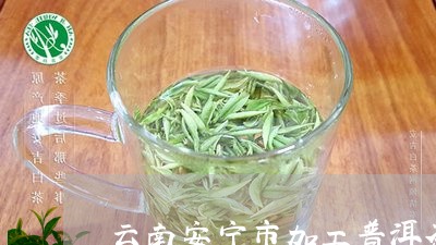 云南安宁市加工普洱茶/2023093081806