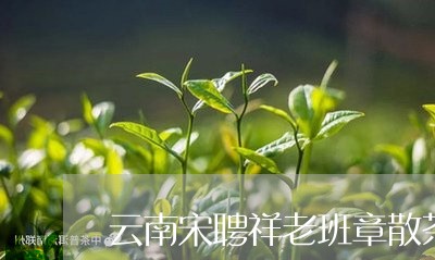 云南宋聘祥老班章散茶/2023092426025