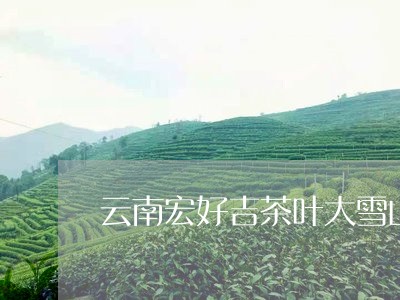 云南宏好吉茶叶大雪山/2023092241824