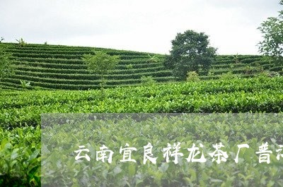 云南宜良祥龙茶厂普洱2006年/2023060307148