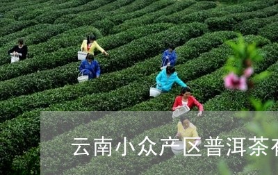 云南小众产区普洱茶有哪些/2023112451695