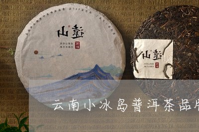 云南小冰岛普洱茶品牌有哪些/2023052897682