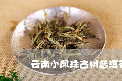 云南小凤珠古树普洱茶/2023101724046