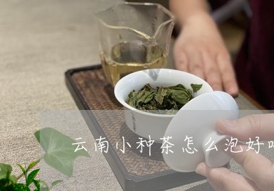 云南小种茶怎么泡好喝/2023092150502