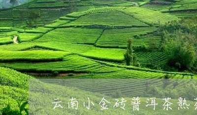 云南小金砖普洱茶熟茶/2023100737079