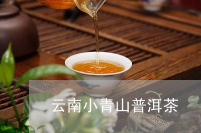 云南小青山普洱茶/2023120466173