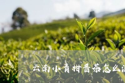 云南小青柑普茶怎么泡/2023071641926