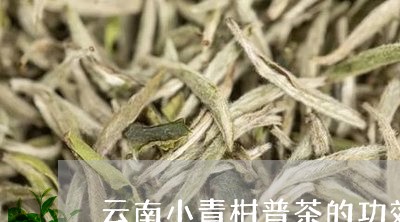 云南小青柑普茶的功效/2023071630837