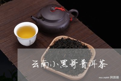 云南小黑哥普洱茶/2023102636282