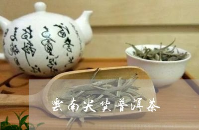 云南尖货普洱茶/2023101696056